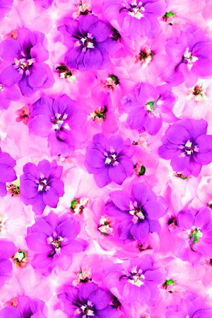 手绘印花华亿平台图片