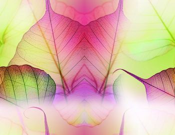 现代印花华亿平台图片