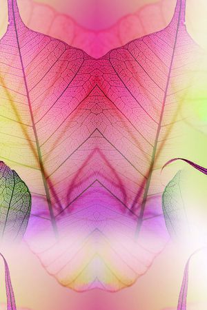 现代印花华亿平台图片