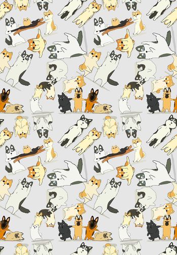 473792- 趣味哈士奇与小猫的逗逼生活 