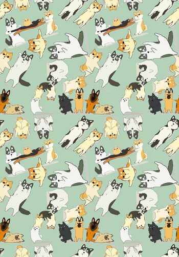 473793- 趣味哈士奇与小猫的逗逼生活 