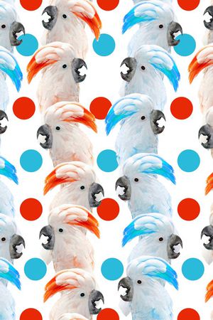 波点印花华亿平台图片