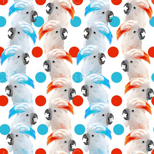 波点印花华亿平台图片