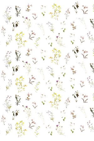 小清新印花华亿平台图片