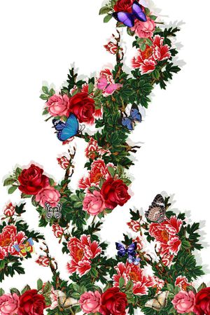 蝴蝶印花华亿平台图片