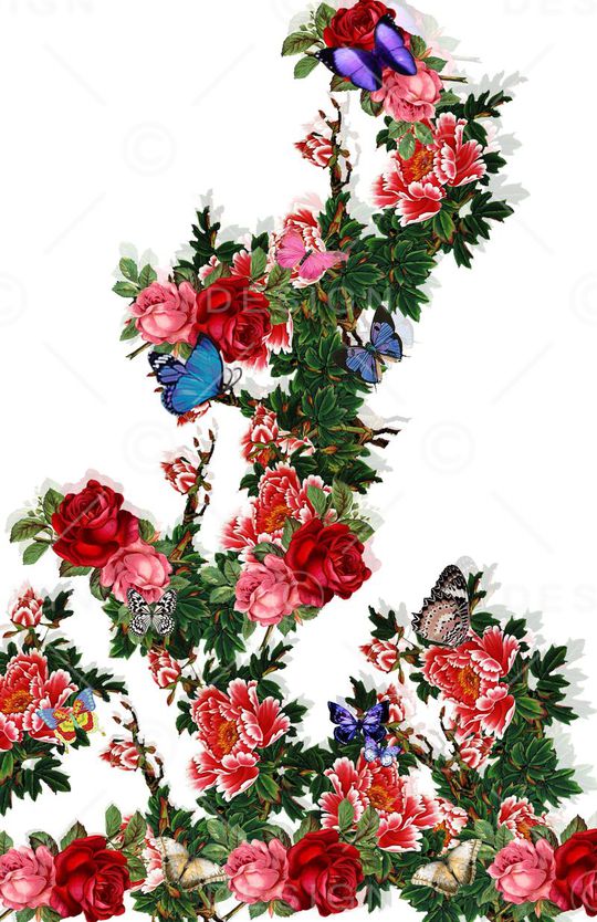 蝴蝶印花华亿平台图片