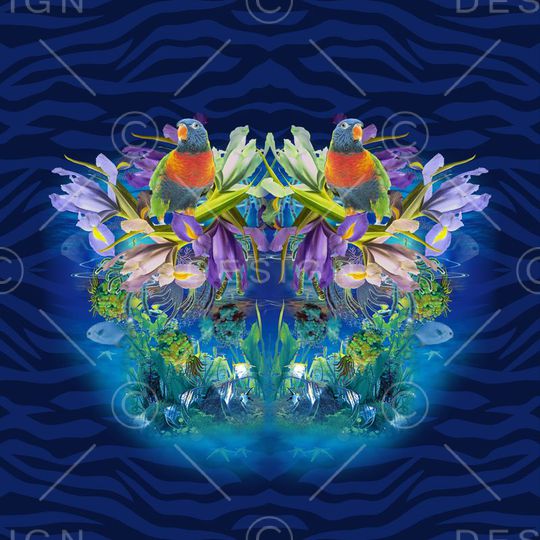 鹦鹉印花华亿平台图片