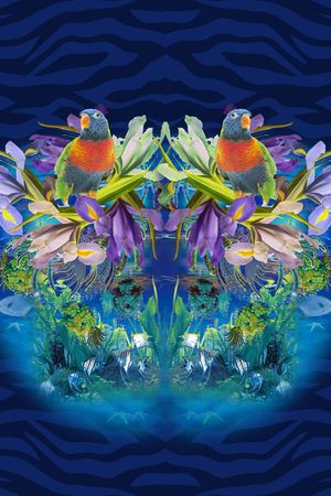 鹦鹉印花华亿平台图片