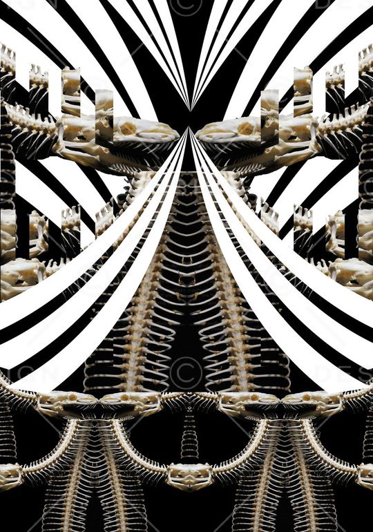 T恤卫衣夹克印花华亿平台图片