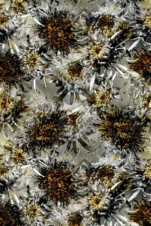 复古印花华亿平台图片