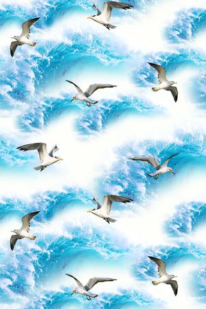 鸟印花华亿平台图片