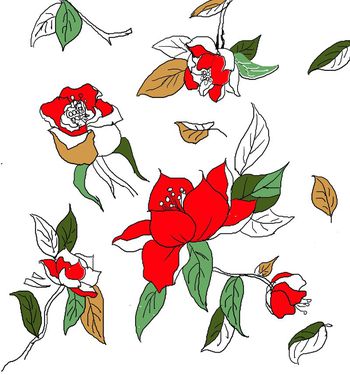 时尚流行大牌印花华亿平台图片