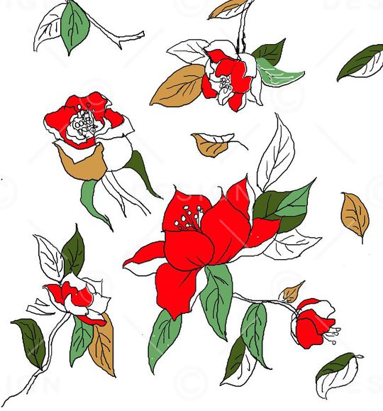 时尚流行大牌印花华亿平台图片