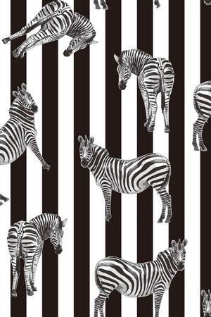 潮流大牌印花华亿平台图片