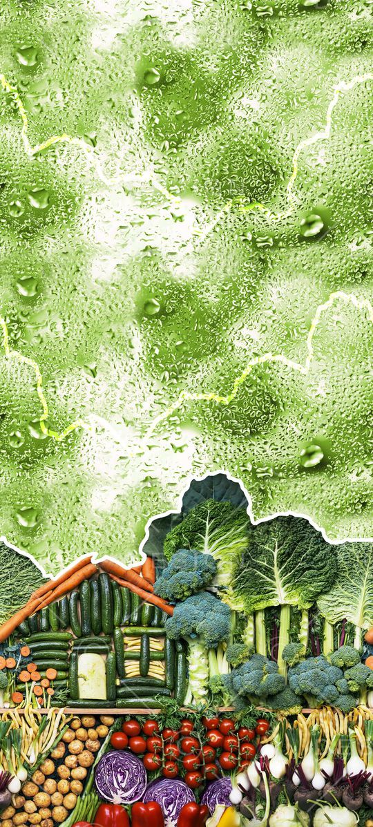 欧美印花华亿平台图片