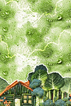 欧美印花华亿平台图片