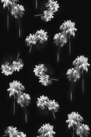 潮流大牌印花华亿平台图片