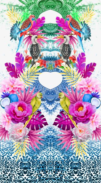 474437-热带风情小鸟热带植物豹纹对称定位渐