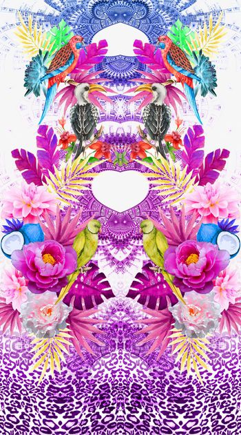 474438-热带风情小鸟热带植物豹纹对称定位渐