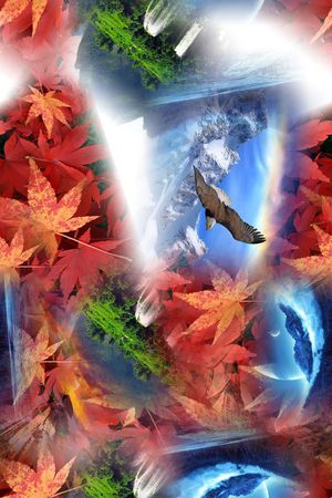 大牌印花华亿平台图片