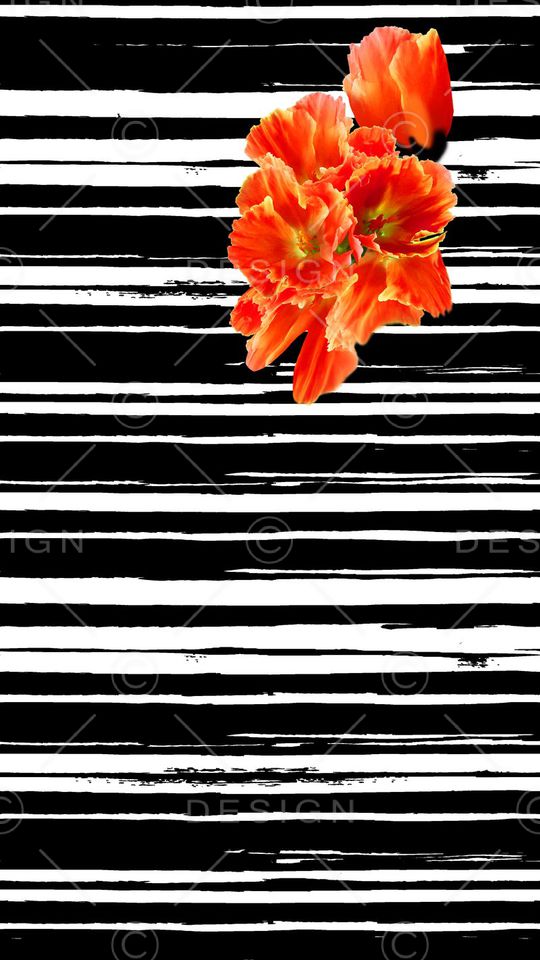 数码定位印花华亿平台图片