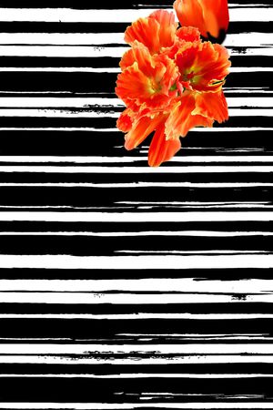 数码定位印花华亿平台图片