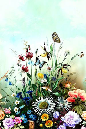 蝴蝶印花华亿平台图片