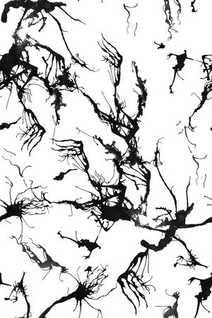 传统印花印花华亿平台图片