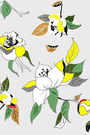 大花印花华亿平台图片