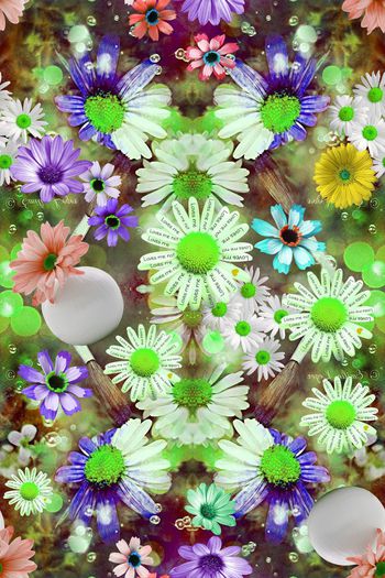 474716-雏菊绽放浪漫写意