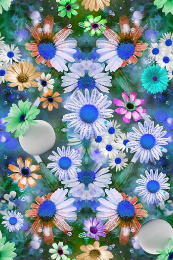 474717-雏菊绽放浪漫写意