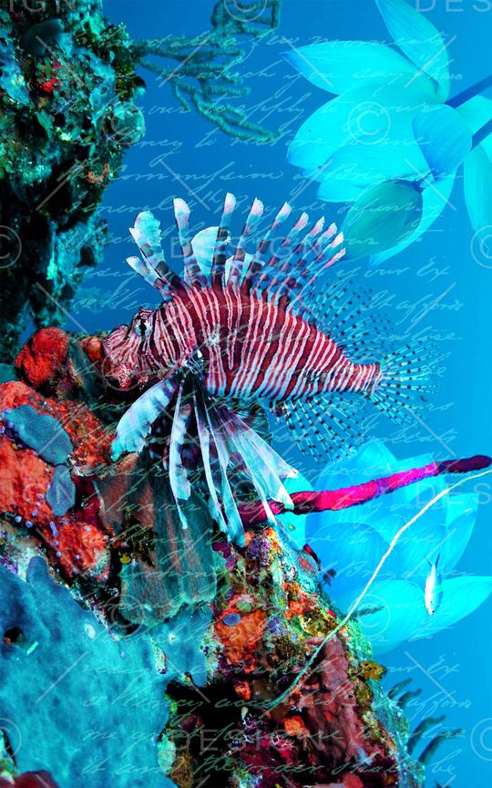 时尚印花华亿平台图片