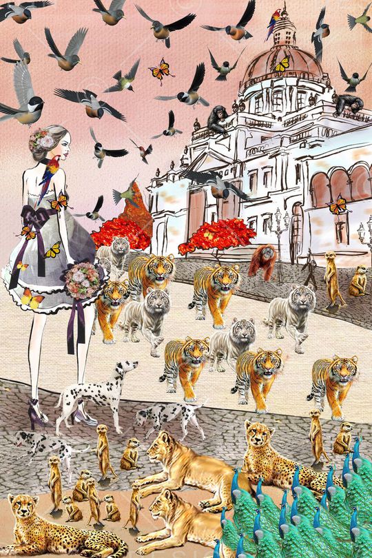 动物印花华亿平台图片