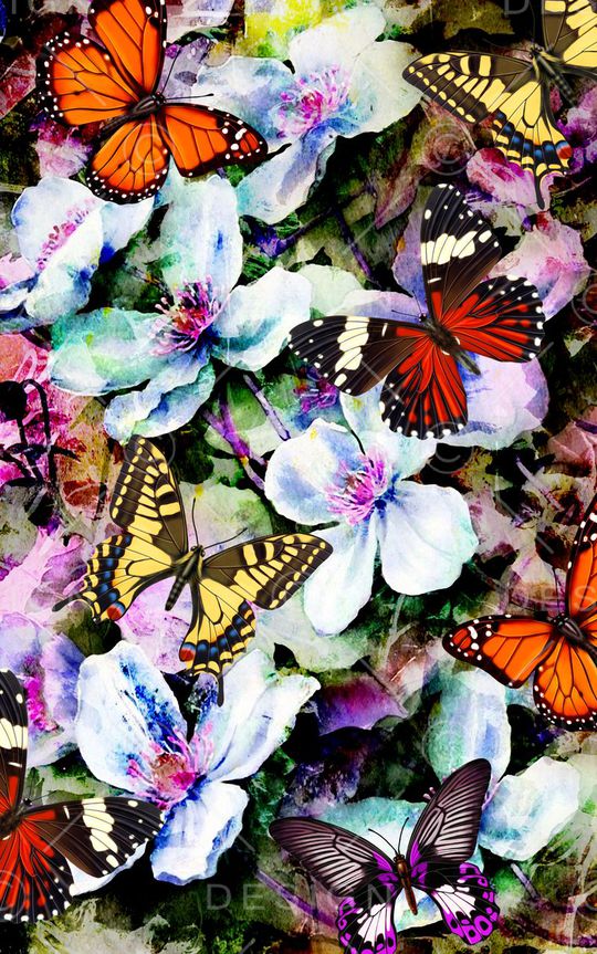 蝴蝶印花华亿平台图片