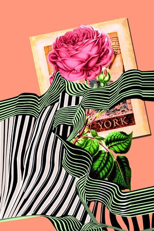 大牌印花华亿平台图片