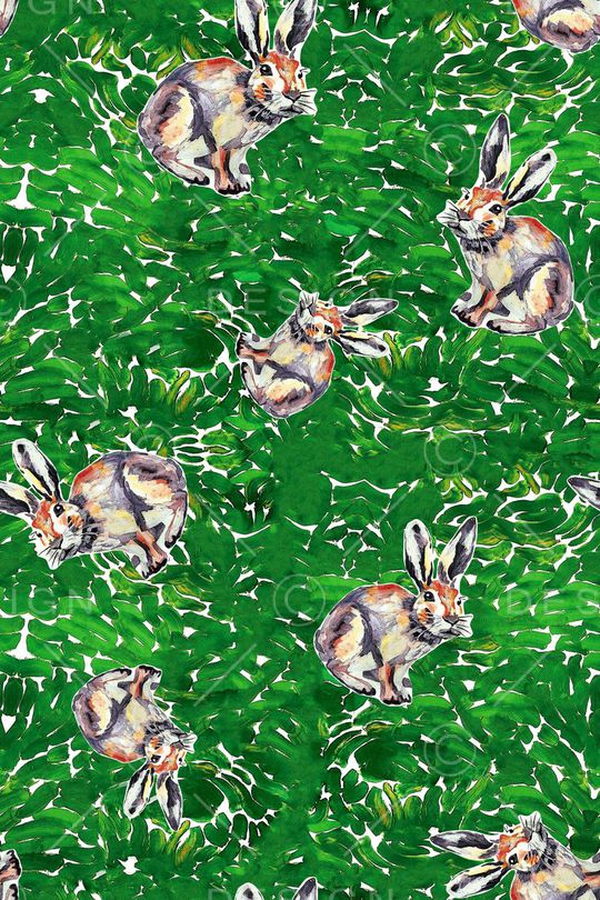 兔子印花华亿平台图片