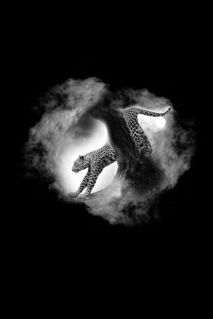 男装 猛豹下山印花华亿平台图片