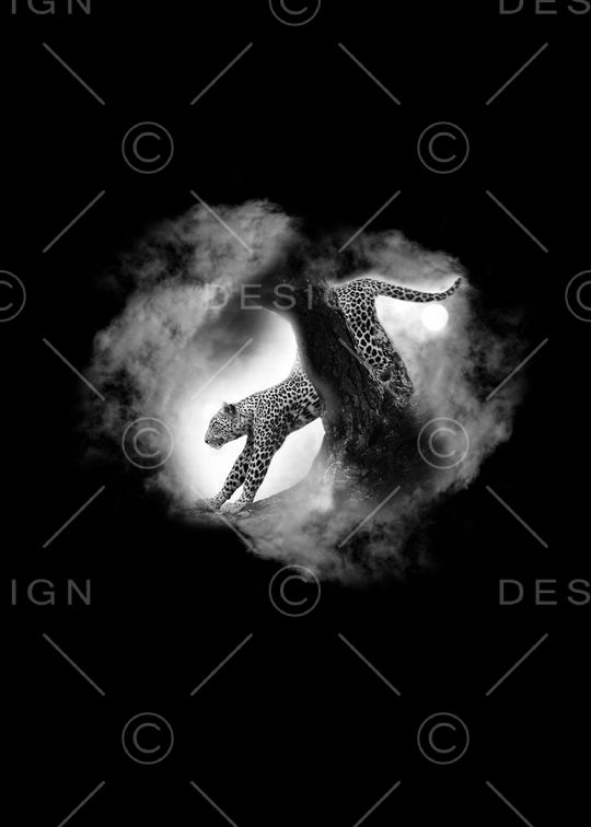 男装 猛豹下山印花华亿平台图片