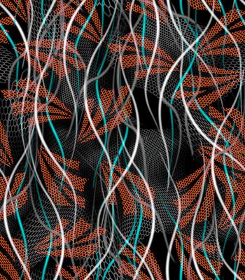 475013-男裝运动花