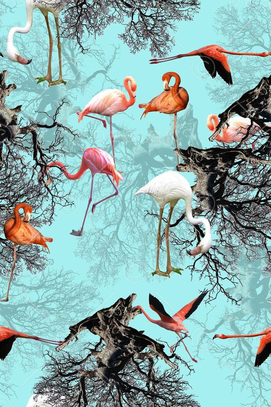 火烈鸟印花华亿平台图片