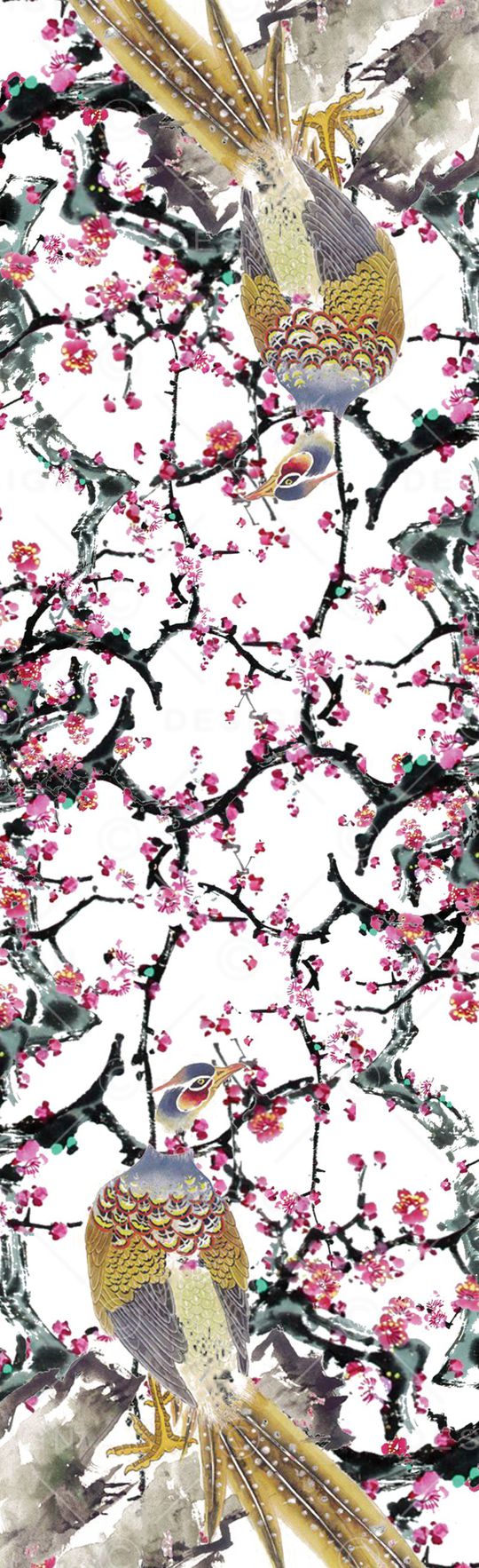 孔雀印花华亿平台图片