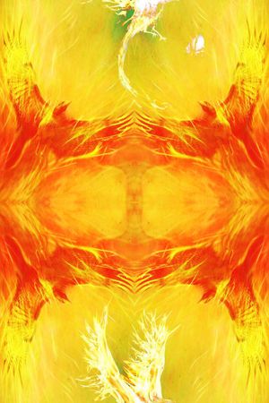 火焰鸟印花华亿平台图片