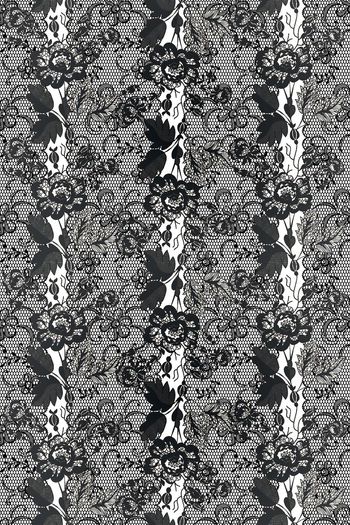 475169-蕾丝花纹1