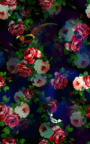 475211-油画花鸟组合