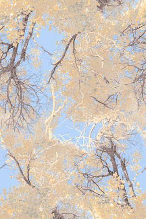 时尚印花华亿平台图片