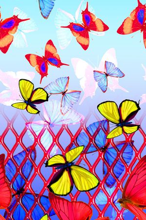 时尚蝴蝶印花华亿平台图片