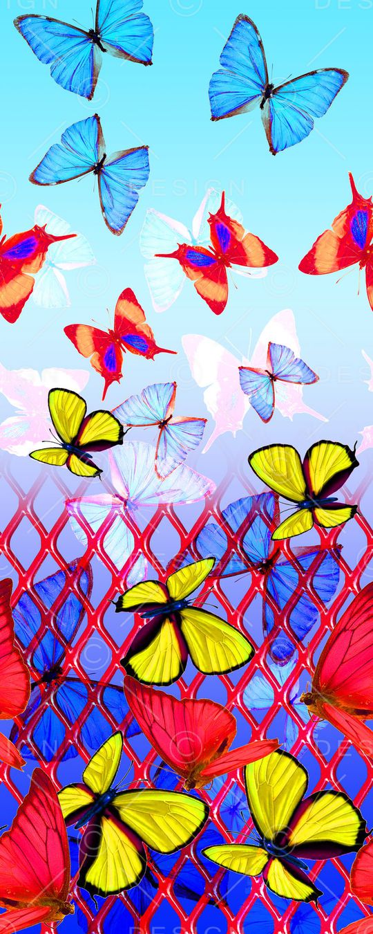 时尚蝴蝶印花华亿平台图片