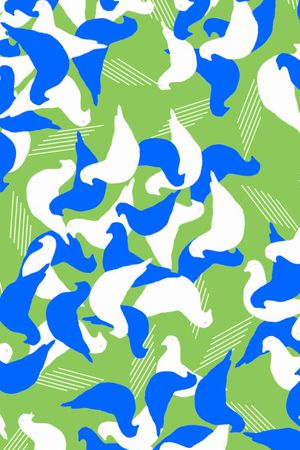 时尚白鸽印花华亿平台图片