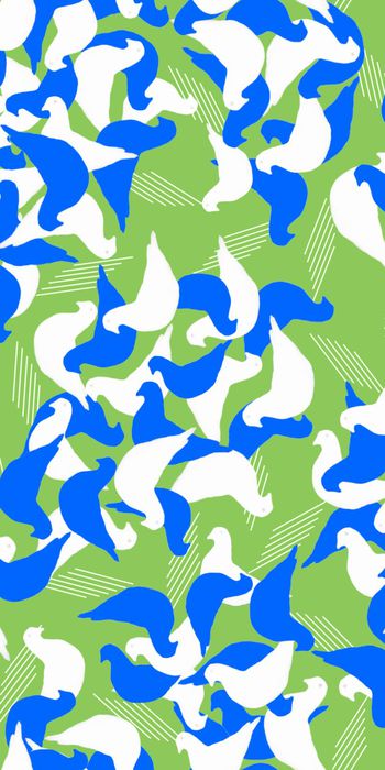 时尚白鸽印花华亿平台图片