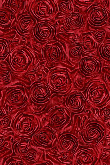 475339-蓝色妖姬 招蜂引蝶